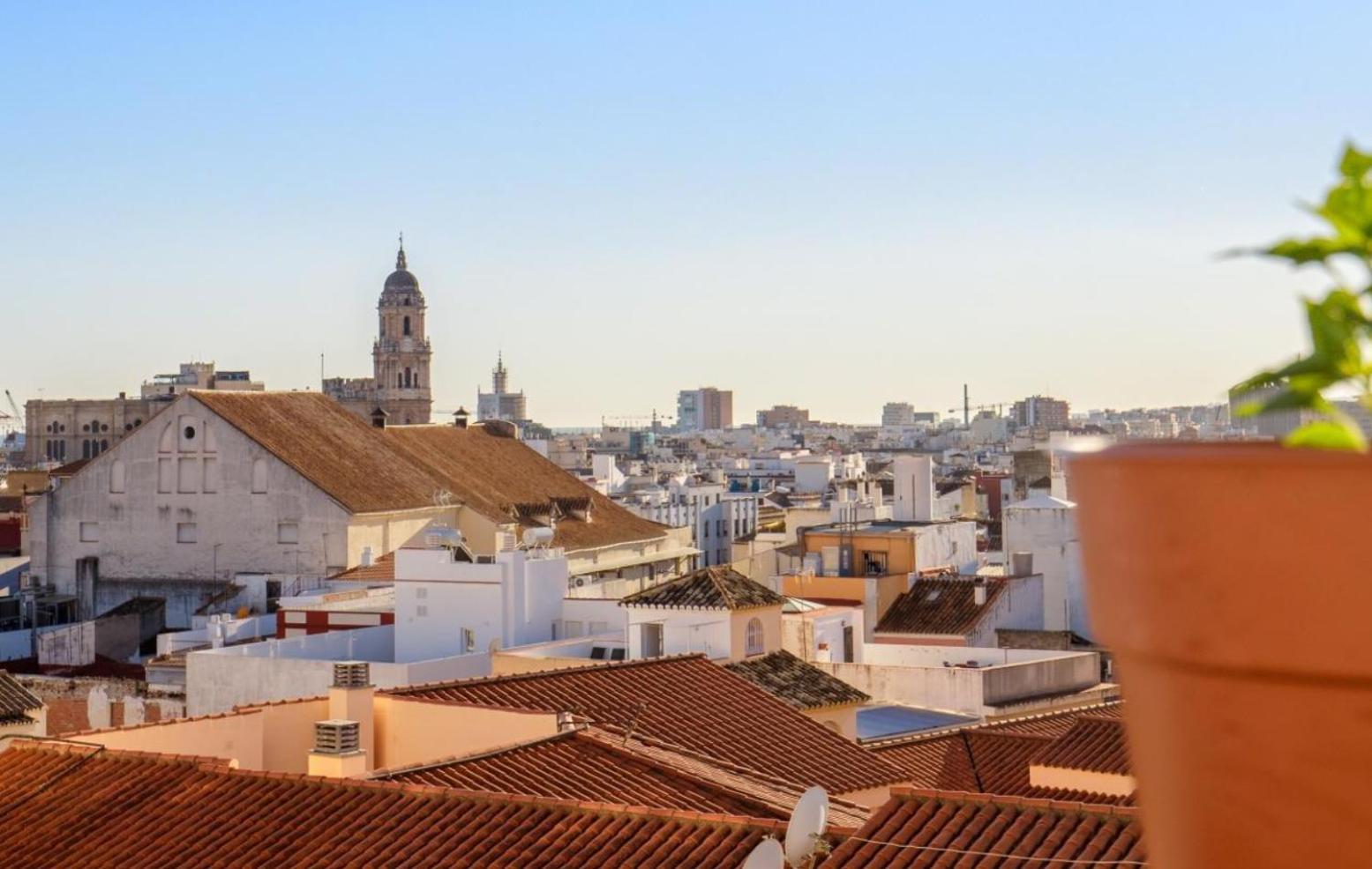 Apartamento Centrico La Merced - Free Parking & Free Gym Málaga Exteriör bild